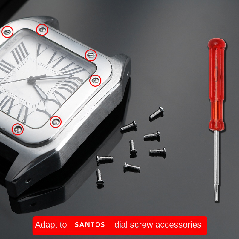 Watch screws for Cartier Santo - Women'S Accessories Cartier incelemesi ve fiyatı